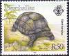 Colnect-2569-103-Aldabra-Giant-Tortoise-Aldabrachelys-gigantea.jpg
