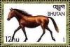 Colnect-3408-017-Arabian-Horse-Equus-ferus-caballus.jpg
