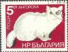 Colnect-615-193-Turkish-Angora-Felis-silvestris-catus.jpg