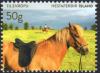 Colnect-8776-897-Iceland-Horse-Equus-ferus-caballus.jpg