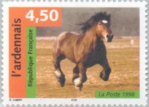Colnect-146-605-Ardennes-Horse-Equus-ferus-caballus.jpg