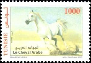 Colnect-2797-770-Arabian-Horse-Equus-ferus-caballus.jpg