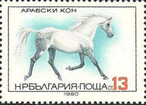 Colnect-2798-339-Arabian-Horse-Equus-ferus-caballus.jpg