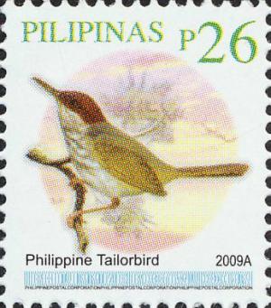 Colnect-2876-086-Philippine-Tailorbird-Orthotomus-castaneiceps.jpg