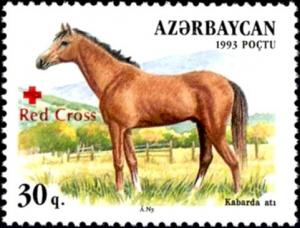 Colnect-3088-812-Kabarda-Horse-Equus-ferus-caballus.jpg