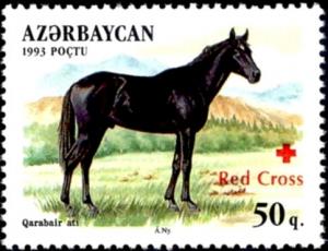 Colnect-3088-813-Qarabair-Horse-Equus-ferus-caballus.jpg