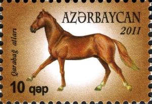 Colnect-4428-762-Karabakh-Horse-Equus-ferus-caballus.jpg
