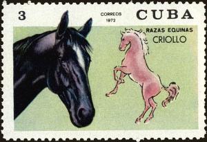 Colnect-4828-598-Criollo-Horse-Equus-ferus-caballus.jpg
