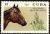 Colnect-4828-601-Quarter-Horse-Equus-ferus-caballus.jpg