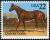 Colnect-4844-913-Quarter-Horse-Equus-ferus-caballus.jpg