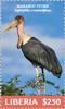 Colnect-5656-415-Marabou-Stork-Leptoptilos-crumenifer.jpg