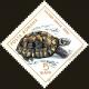 Colnect-5043-376-Greek-Tortoise-Testudo-graeca.jpg