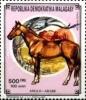 Colnect-3467-859-Arabian-Horse-Equus-ferus-caballus.jpg