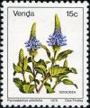 Colnect-1519-690-Pycnostachys-urticifolia.jpg