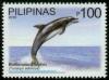 Colnect-1832-642-Common-Bottlenose-Dolphin-Tursiops-truncatus.jpg