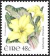 Colnect-1927-344-Primrose-Primula-vulgaris.jpg