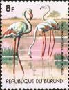 Colnect-4835-404-FlamingosPhoenicopterus-roseus.jpg