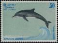 Colnect-1269-742-Common-Bottlenose-Dolphin-Tursiops-truncatus.jpg