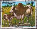 Colnect-2280-939-Zebu-Bos-primigenius-indicus.jpg