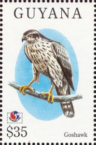 Colnect-1664-203-Northern-Goshawk-Accipiter-gentilis.jpg