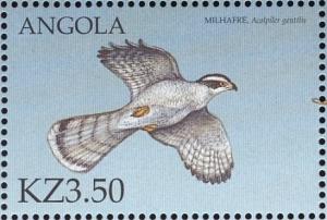 Colnect-1240-339-Northern-Goshawk-Accipiter-gentilis.jpg