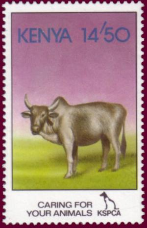 Colnect-1331-853-Cattle-Bos%C2%A0primigenius-indicus.jpg