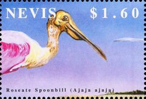 Colnect-4411-264-Roseate-spoonbill.jpg