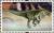 Colnect-2770-256-Siamosaurus-suteethorni.jpg