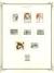 WSA-Bangladesh-Postage-1996-98.jpg