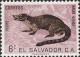 Colnect-1102-155-White-nosed-Coati-Nasua-narica.jpg