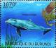 Colnect-3102-348-Common-Bottlenose-Dolphin-Tursiops-truncatus.jpg