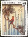 Colnect-2612-460-Parrot-on-a-Pine-Branch.jpg