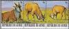 Colnect-3459-106-Common-Eland-Taurotragus-oryx---Stripe-of-3-Stamps.jpg