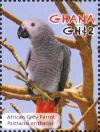 Colnect-4241-286-Grey-Parrot----Psittacus-erithacus.jpg