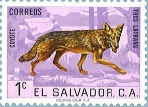 Colnect-1224-575-Coyote-Canis-latrans-.jpg