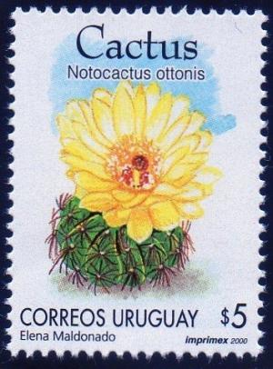 Colnect-1273-246-Notocactus-ottonis.jpg