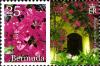Colnect-2789-083-Bougainvillaea-sp.jpg