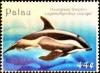 Colnect-5920-250-Hourglass-dolphin.jpg