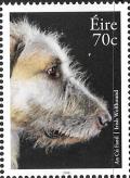 Colnect-3441-178-Irish-Wolfhound-Canis-lupus-familiaris.jpg