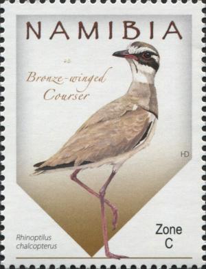 Colnect-3065-053-Bronze-winged-Courser-Rhinoptilus-chalcopterus.jpg