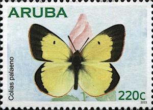 Colnect-6277-742-Moorland-Clouded-Yellow-Colias-palaeno.jpg