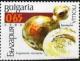 Colnect-1823-879-Bottle-Gourd-Lagenaria-siceraria.jpg