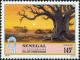 Colnect-2189-045-Race-Route-by-a-Baobab-Tree.jpg