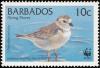 Colnect-578-235-Piping-Plover-Charadrius-melodus-.jpg