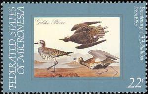 Colnect-1620-514-Golden-Plover-Pluvialis-apricaria.jpg