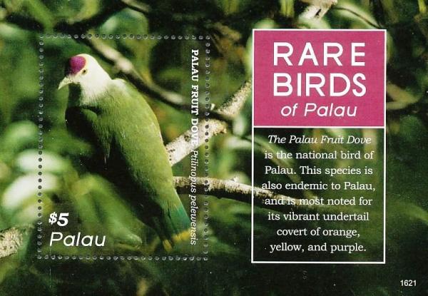 Colnect-4835-352-Palau-Fruit-Dove----Ptilinopus-pelewensis.jpg