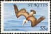 Colnect-1659-316-Brown-Pelican-nbsp-.jpg