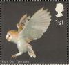 Colnect-1800-612-Barn-Owl-Tyto-alba-landing.jpg