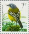 Colnect-187-223-Western-Yellow-Wagtail-Motacilla-flava.jpg