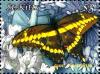 Colnect-3483-466-Giant-swallowtail-Papilio-cresphontes.jpg